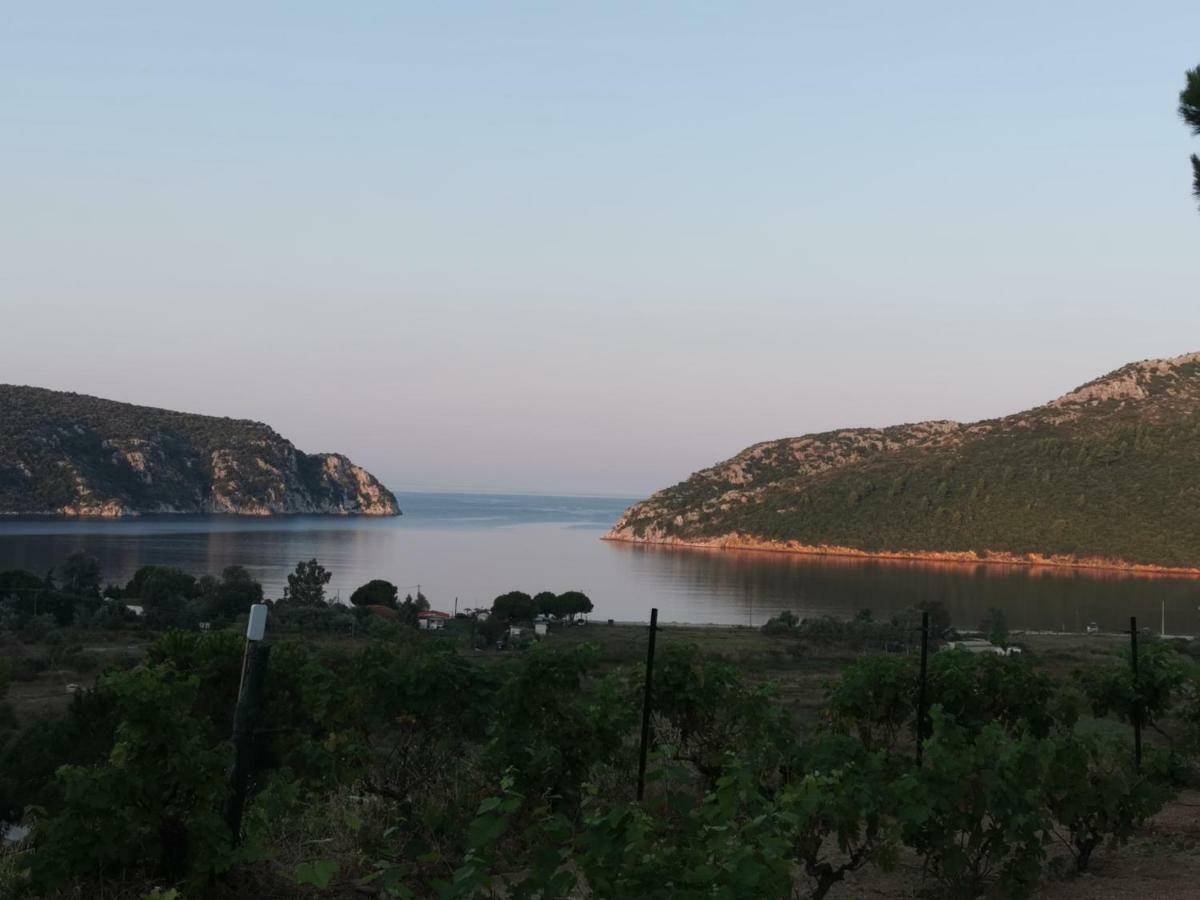 Porto Koufo Resort Bungalows エクステリア 写真