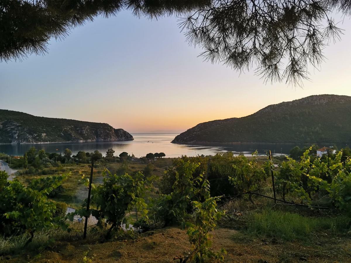 Porto Koufo Resort Bungalows エクステリア 写真